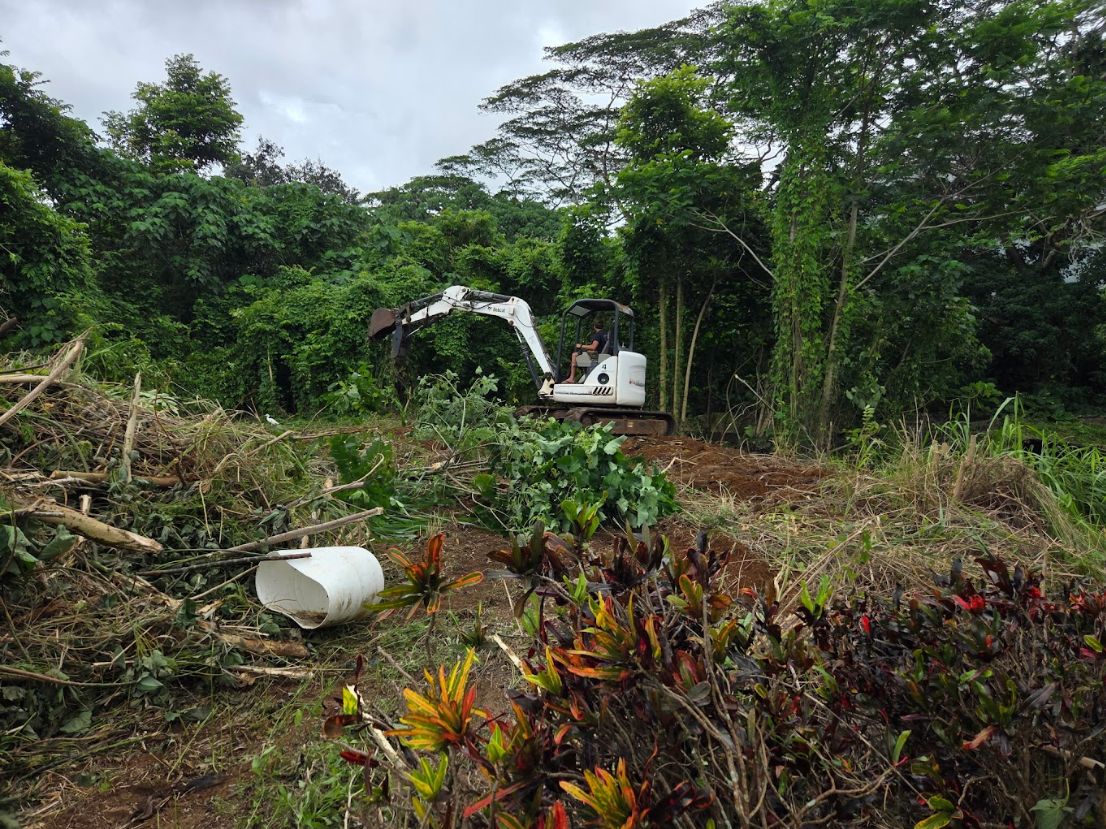 Compact excavator working through cut brush and tropical vegetation