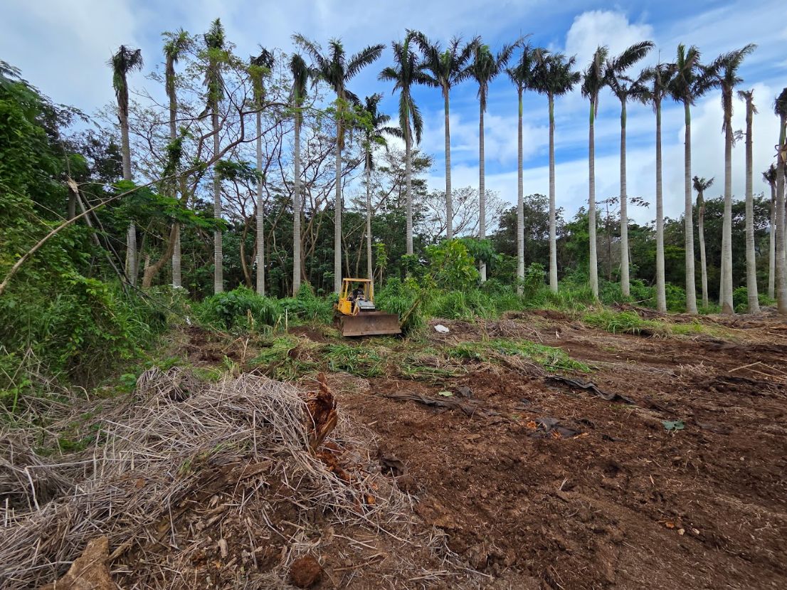 Partly cleared Oʻahu lot with cut vegetation, a dozer and palms before final grading