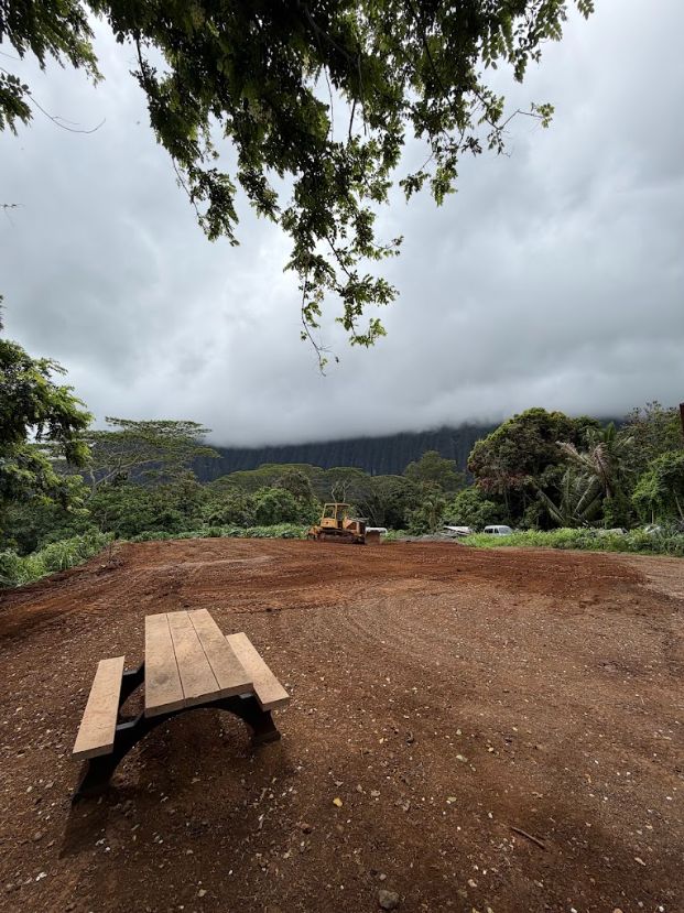 Open graded dirt area with a dozer and a bench under overhanging trees