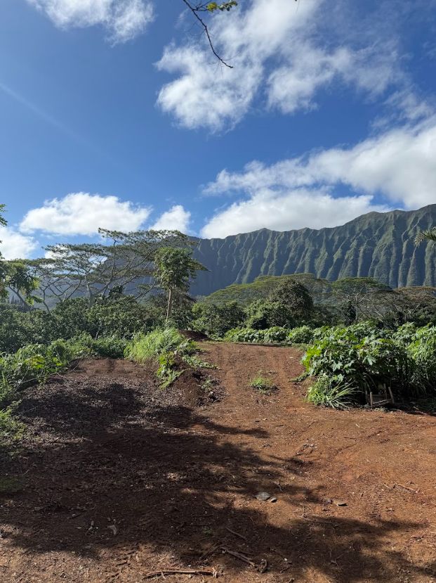 Uneven dirt area with remaining vegetation and a mountain ridge before further clearing