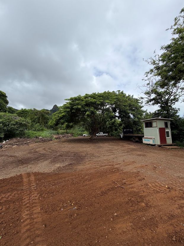 Same lot with open graded soil around the retained tree and small structure