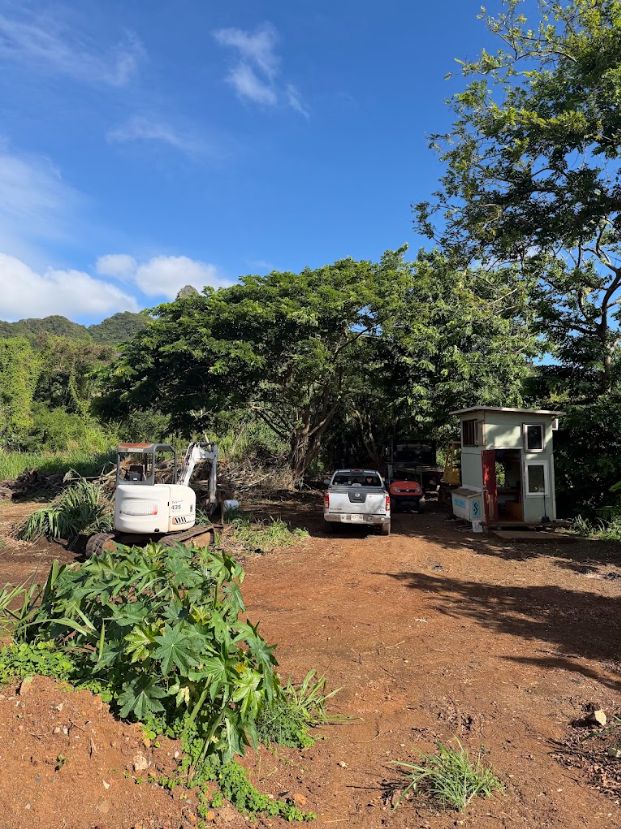 Lot with equipment, vegetation and a large tree before site clearing
